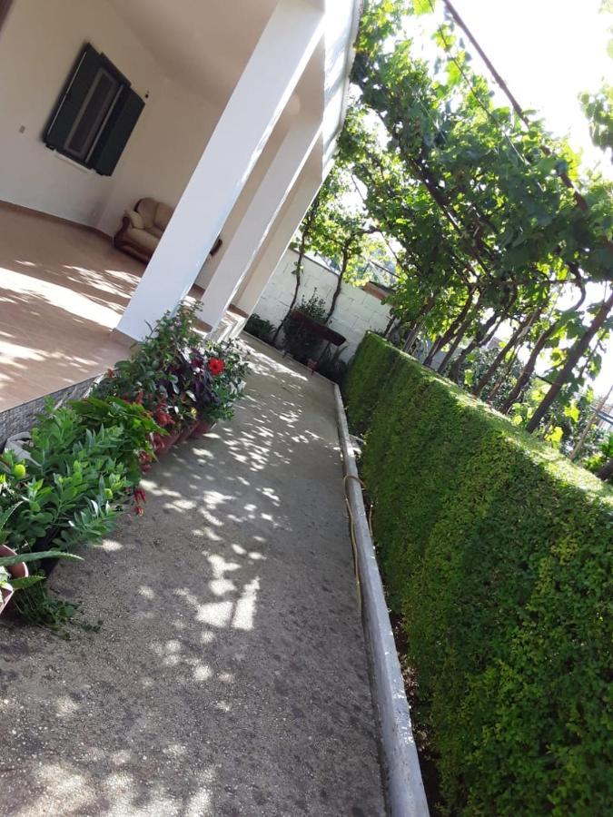 House 28 * Orikum